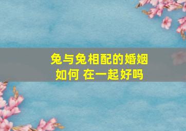 兔与兔相配的婚姻如何 在一起好吗